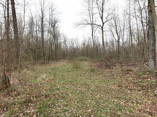 Property photo 42 - LAND AUCTION - 156.63+/- ACRES OFFERED IN 7 TRACTS IN ALLEN COUNTY, INDIANA
